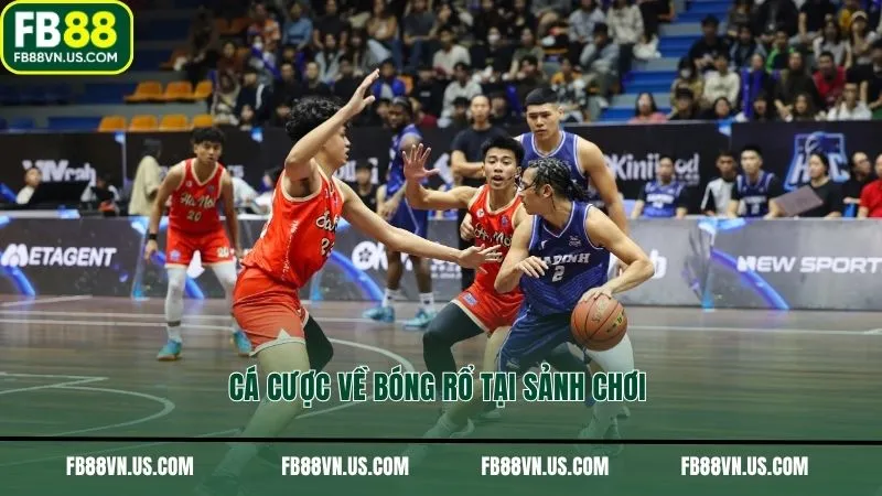 Cá cược về bóng rổ tại sảnh chơi