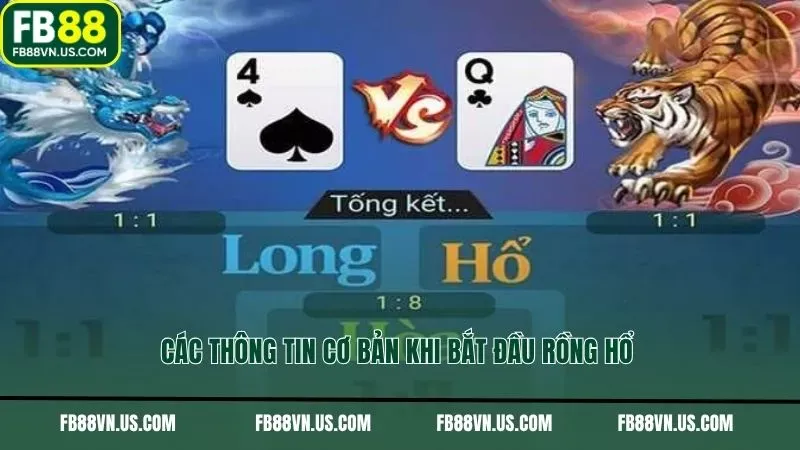 Các thông tin cơ bản khi bắt đầu rồng hổ