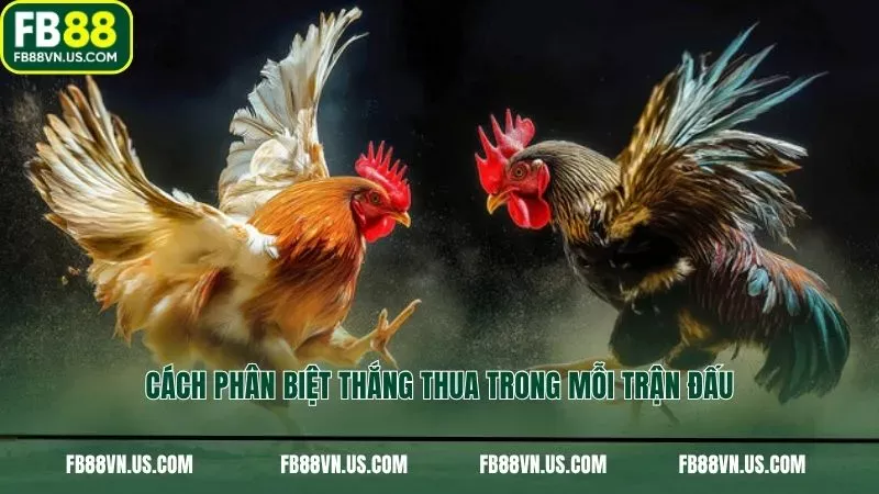 Cách phân biệt thắng thua trong mỗi trận đấu