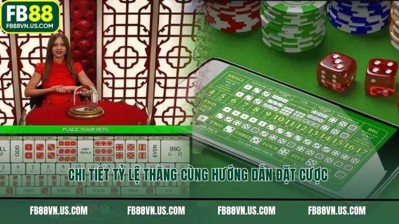 Chi tiết tỷ lệ thắng cùng hướng dẫn đặt cược