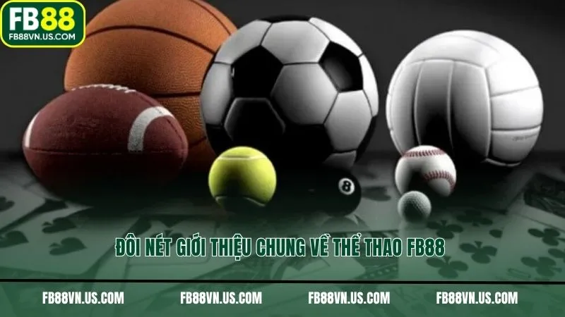 Đôi nét giới thiệu chung về thể thao FB88