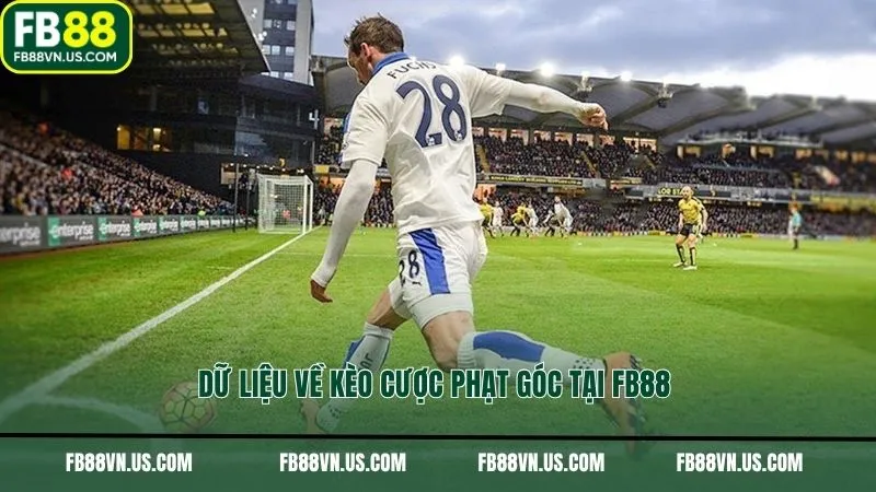 Dữ liệu về kèo cược phạt góc tại FB88