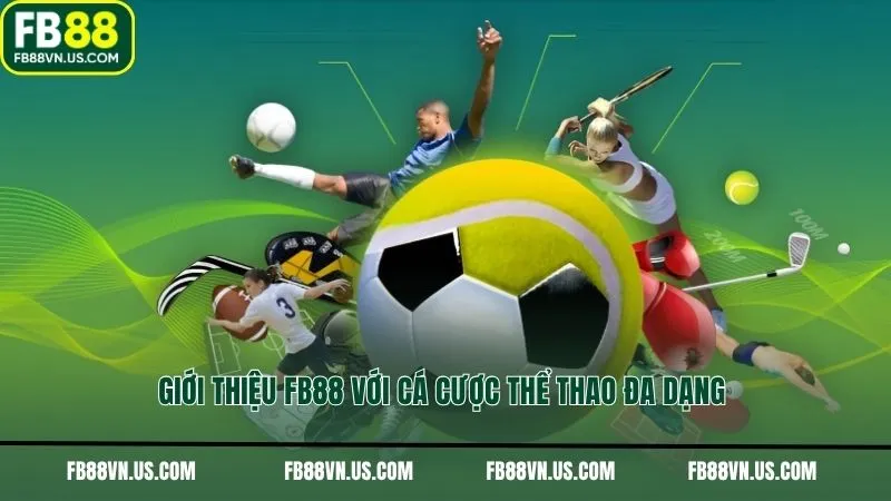 Giới thiệu FB88 với cá cược thể thao đa dạng