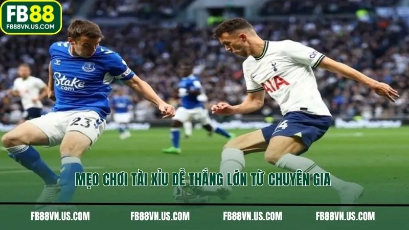 Mẹo chơi Tài Xỉu dễ thắng lớn từ chuyên gia