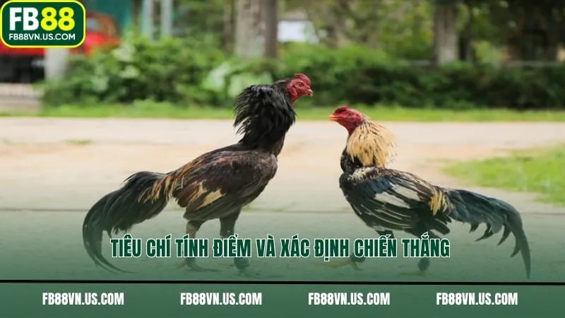 Tiêu chí tính điểm và xác định chiến thắng