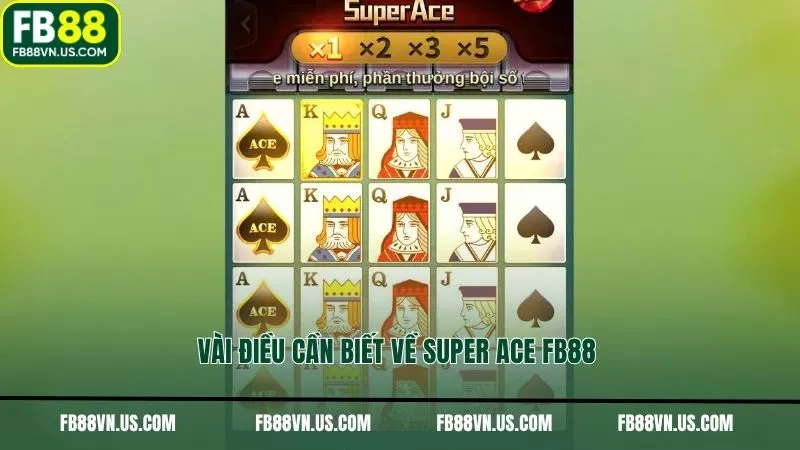Vài điều cần biết về Super ACE FB88